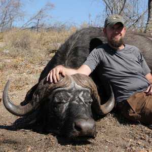 Buffalo Hunting Limpopo South Africa