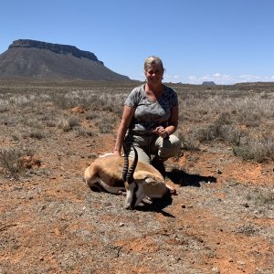 Springbok Hunt Limpopo South Africa