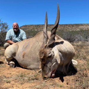 Eland Hunt Limpopo South Africa