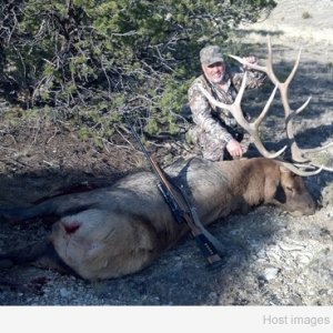 Elk Hunting