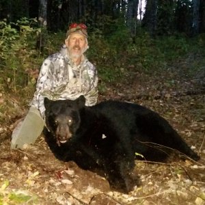 Black Bear Hunting