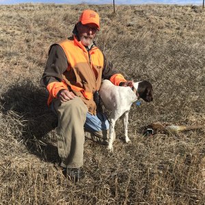 Bird Hunt Montana