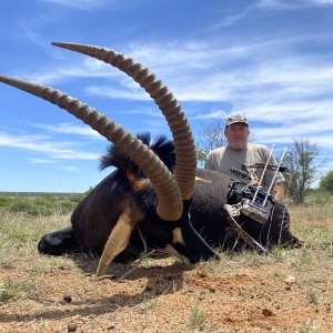 Sable Hunting South Africa