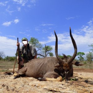 Nyala Hunt South Africa