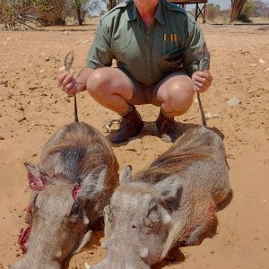 Warthog Hunt Kalahari South Africa