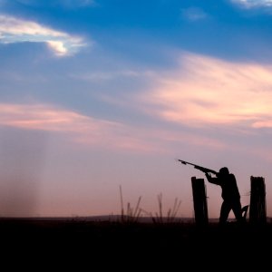 Bird Hunting South Africa