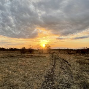 Scenery Selous Game Reserve Tanzania