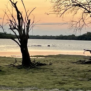 River Selous Game Reserve Tanzania