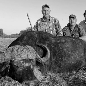 Buffalo Hunting South Africa