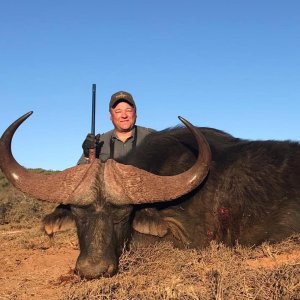 Buffalo Hunting Eastern Cape South Africa