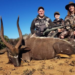 Nyala Hunting Eastern Cape South Africa