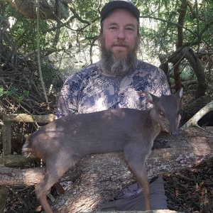 Blue Duiker Hunting Eastern Cape South Africa