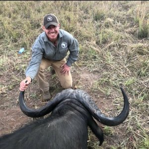 Buffalo Hunting Tanzania