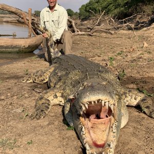 Crocodile Hunting Zambia