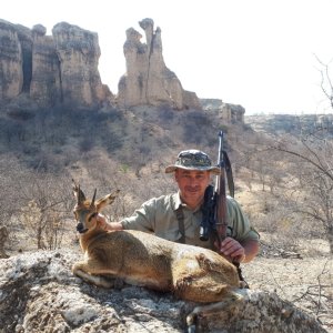 Klipspringer Hunting Namibia