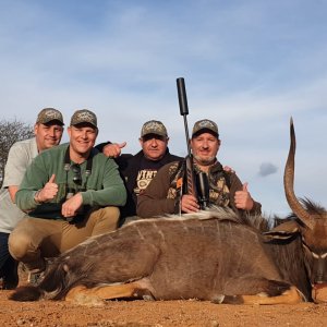 Nyala Hunting Eastern Cape South Africa