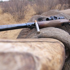 Elephant Hunt Namibia