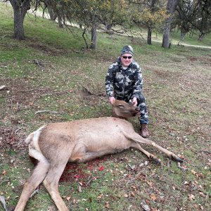 Tule Elk Hunting California