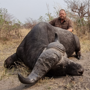 Buffalo Hunting Namibia