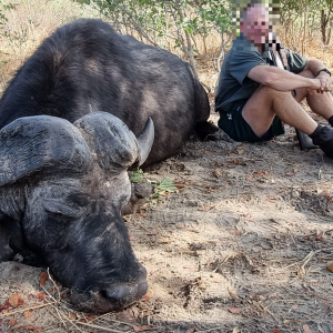 Buffalo Hunting Namibia