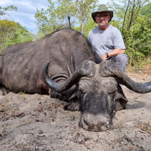 Buffalo Hunting Namibia