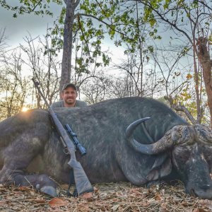 Kwalata Safaris Cape Buffalo Mozambique, 2021