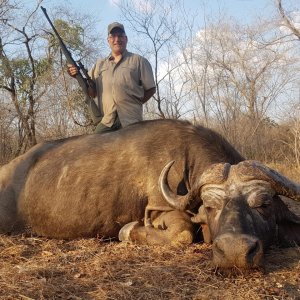 Kwalata Safaris Cape Buffalo Mozambique, 2021