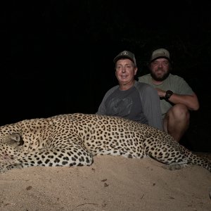 Leopard Hunting Kwalata Safaris