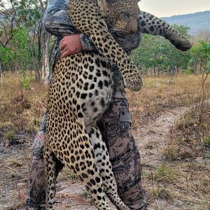 Leopard Hunting Tanzania