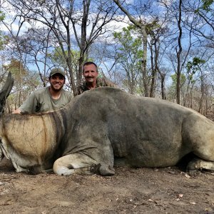 Livingston Eland Kwalata safaris, Mozambique