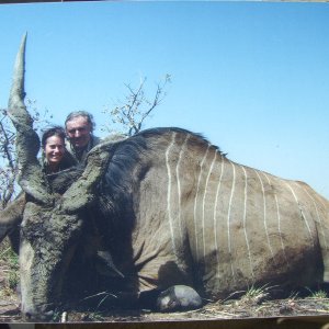 Unusual Lord Derby Eland Hunt Cameroon