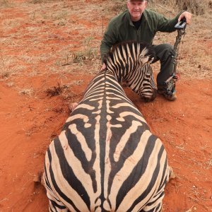 Zebra Bow Hunting Botswana