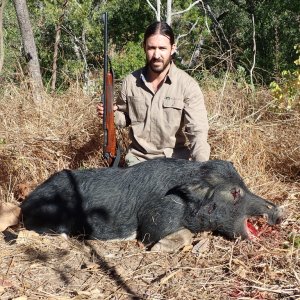 Wild Boar Hunt Australia