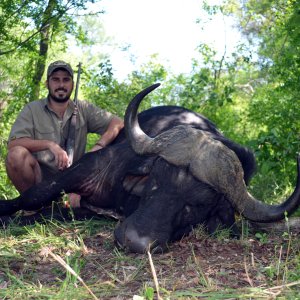 Buffalo Hunt South Africa