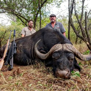 Buffalo Hunting South Africa