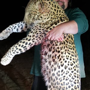 Leopard Hunting Zimbabwe