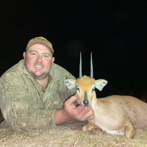 Steenbok Hunting Limpopo South Africa