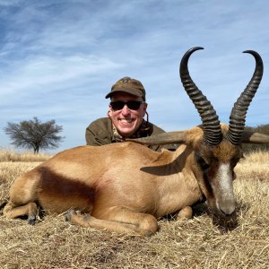 Springbok Hunting Limpopo South Africa