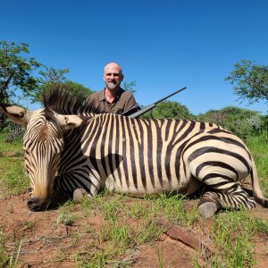 Harmann's Zebra Hunting Namibia