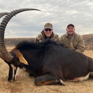 Sable Hunting South Africa