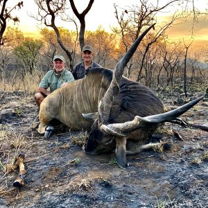 Lord Derby Eland Hunting Cameroon