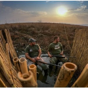 Bird Hunting South Africa