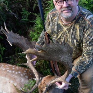 Fallow Deer Hunting New Zealand