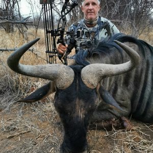 Blue Wildebeest Bow Hunt South Africa