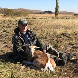 Springbok Hunting Free State Province South Africa