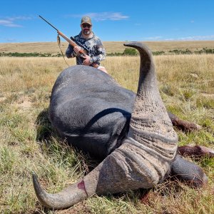 Buffalo Hunting South Africa