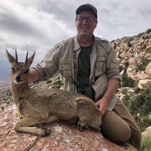 Klipspringer Hunt Karoo South Africa