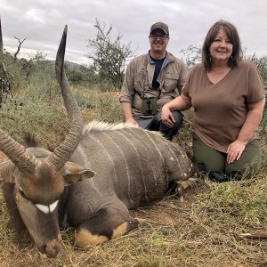 Nyala Hunt Karoo South Africa