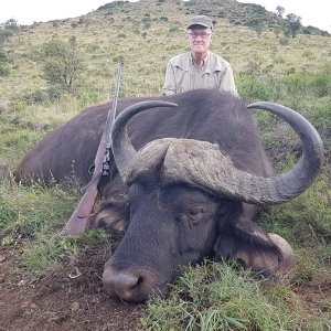 Buffalo Hunting Eastern Cape South Africa