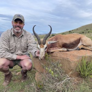 Sringbok Hunting Eastern Cape South Africa